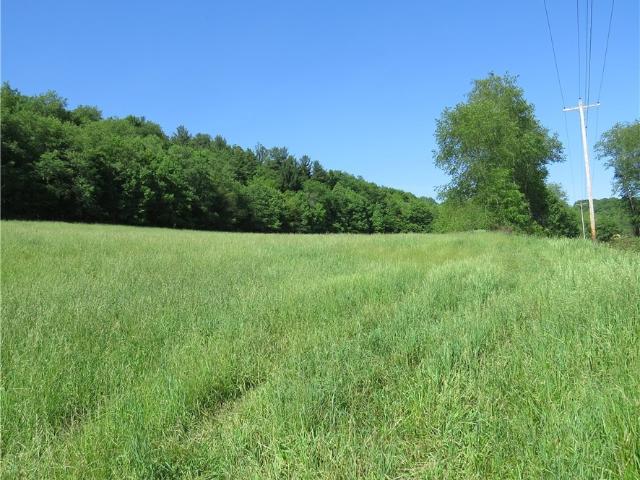 Land for sale in Dellroy, Ohio