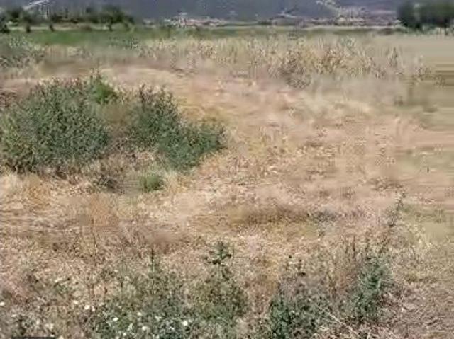 Yassıhüyük, Acıpayam içerisinde satılık Arsa