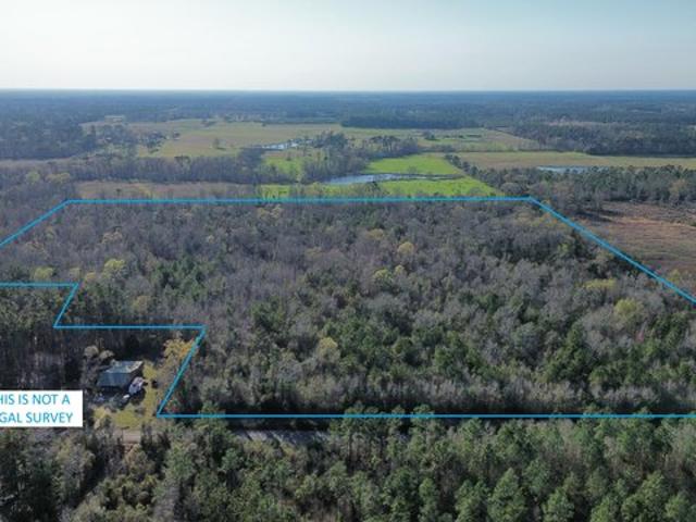 Land for sale in Deridder, Louisiana