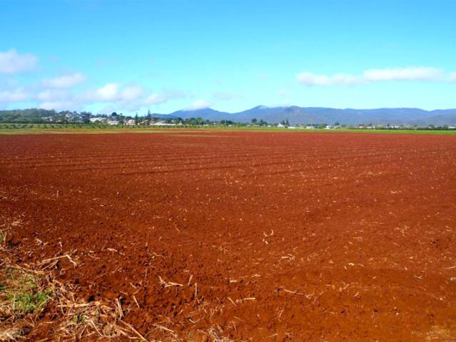 Acreage for sale in Tablelands, Queensland