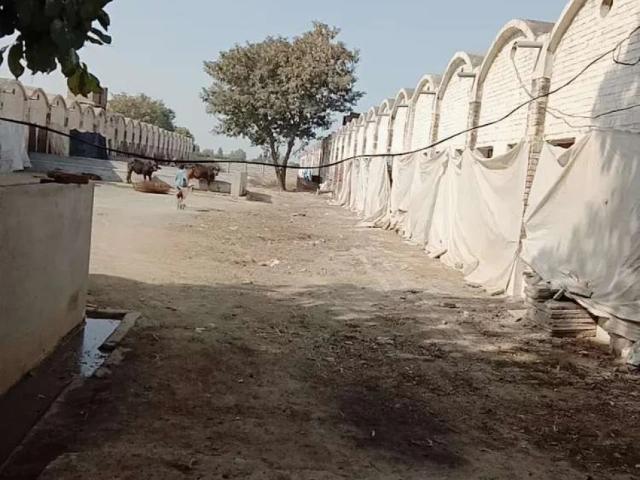 Commercial for rent in سرگودھا, سرگودھا ڈویژن