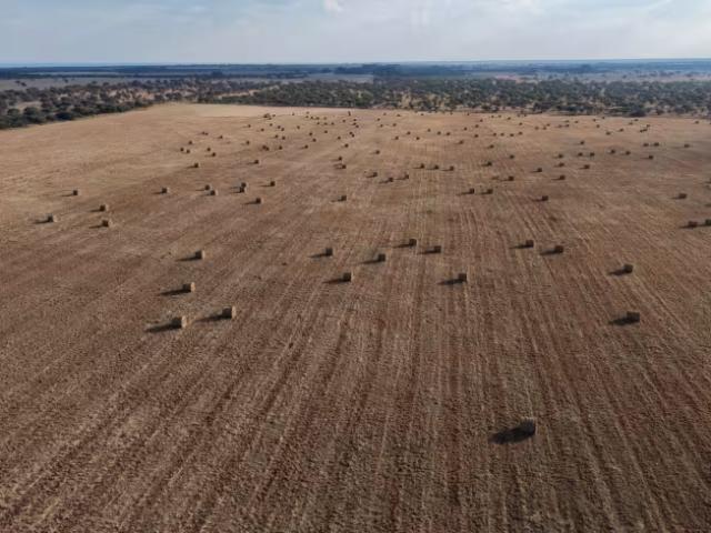 Farm for sale in Bela-Bela, Bela Bela Local Municipality