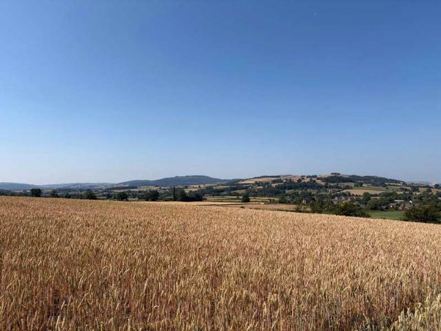 Farm for sale in Shropshire