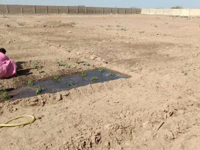 Land for sale in North Waziristan, Federally Administered Tribal Areas fata