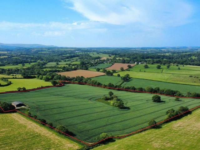 Commercial for sale in Exbourne, Weir Quay