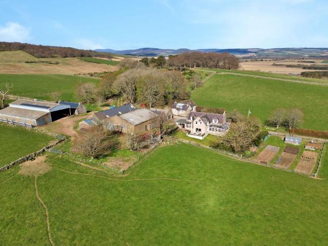Commercial for sale in Scotland