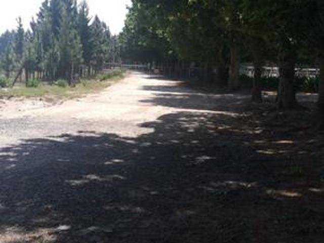 Farm for sale in Gert Sibande, Mpumalanga