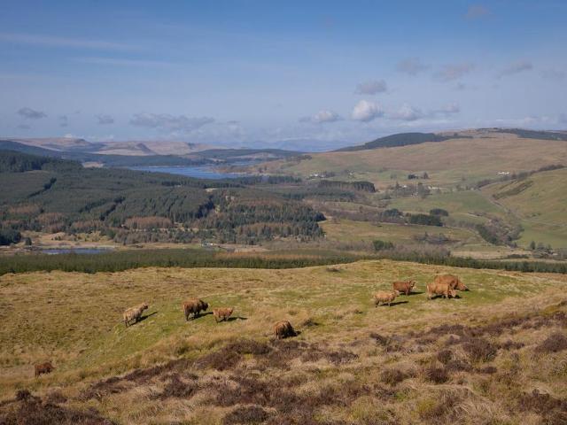 Commercial for sale in Cambuskenneth, Scotland