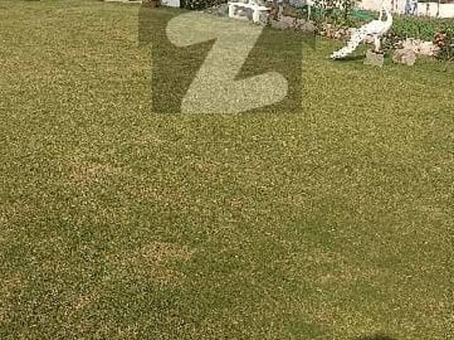 Property for rent in Islamabad, Islamabad Capital Territory