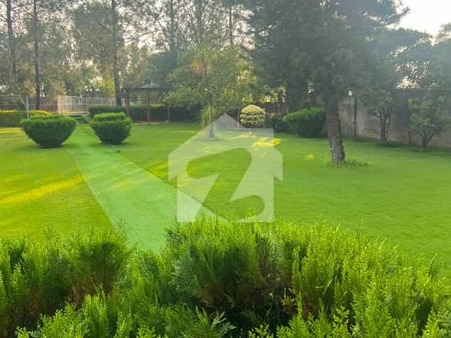 Property for rent in Islamabad
