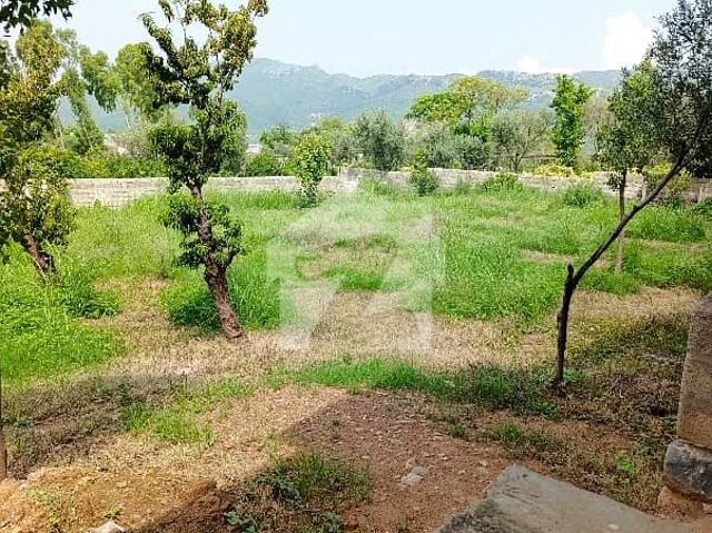 Property for rent in Islamabad