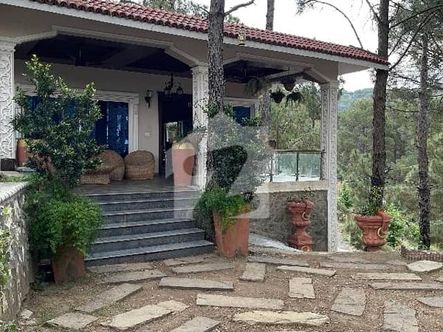 Property for rent in Islamabad