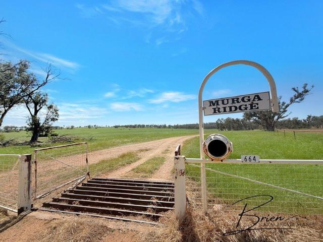 House for rent in Wongarbon, Dubbo Regional Council