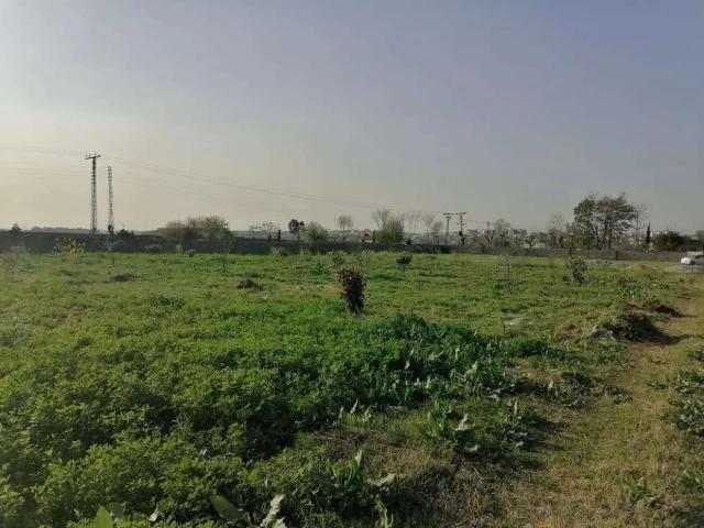Land for sale in Islamabad