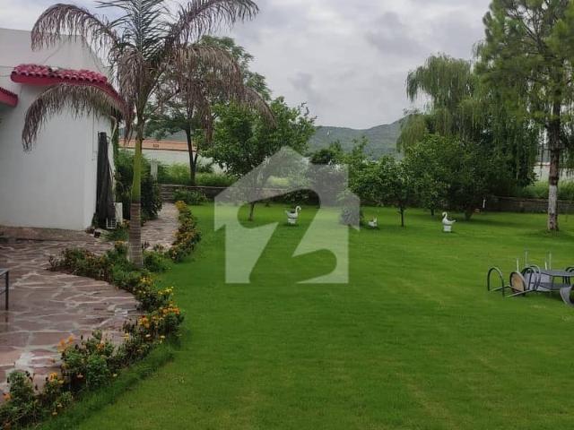 Property for rent in Islamabad