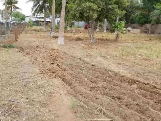 Land for sale in North Waziristan, Federally Administered Tribal Areas fata