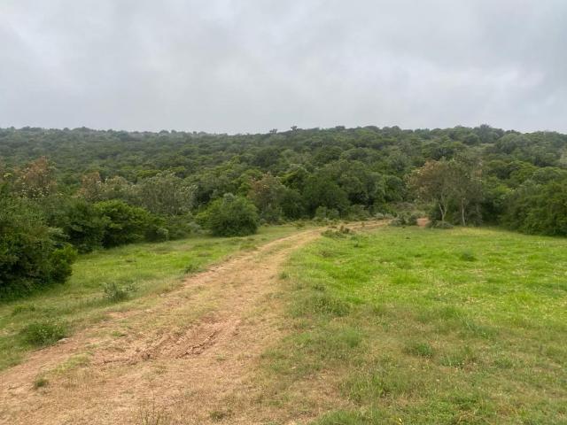 Farm for sale in Bushmans River Mouth, Eastern Cape