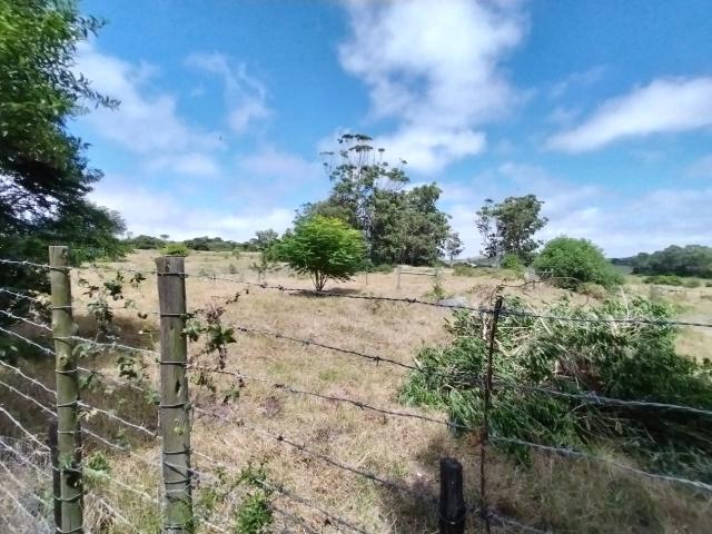 Farm for sale in Eastern Cape