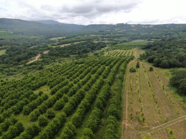 Farm for sale in Ehlanzeni, Mpumalanga