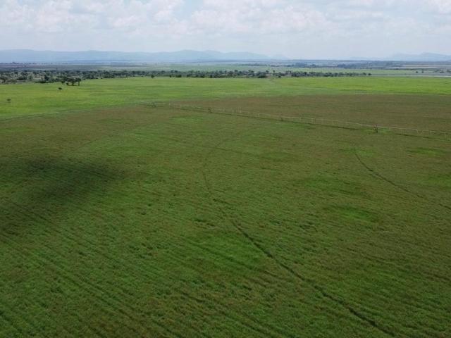 Farm for sale in Nylstroom, Limpopo