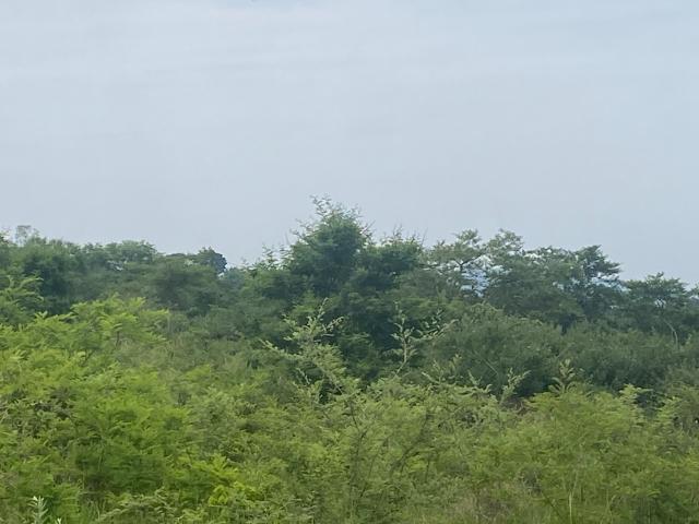 Farm for sale in Mopani, Limpopo
