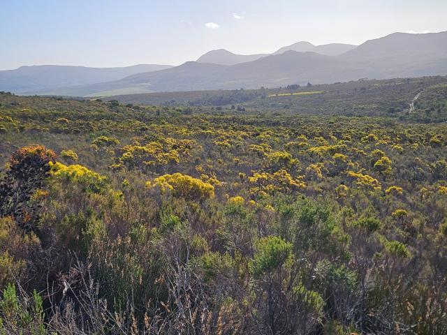 Farm for sale in Baardskeerdersbos, Western Cape