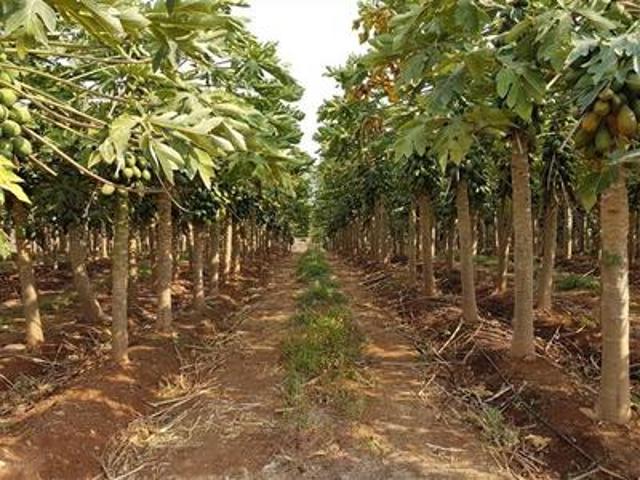 Commercial Land for sale in Barberton
