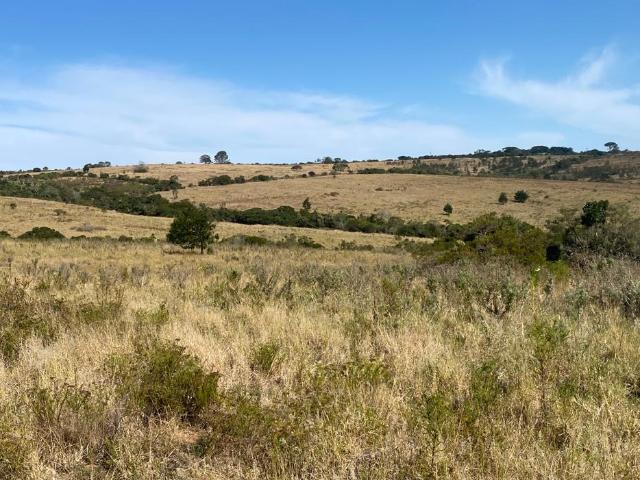 Farm for sale in Bushmans River Mouth, Eastern Cape