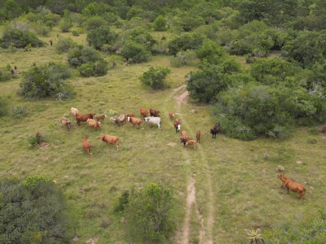 Farm for sale in Bushmans River Mouth, Eastern Cape