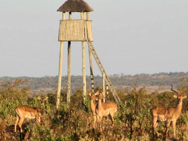 Farm for sale in Nylstroom, Limpopo