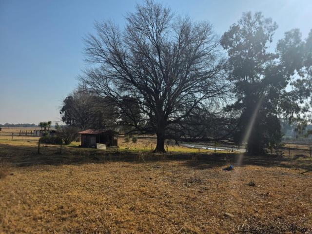 Farm for sale in Gert Sibande, Mpumalanga