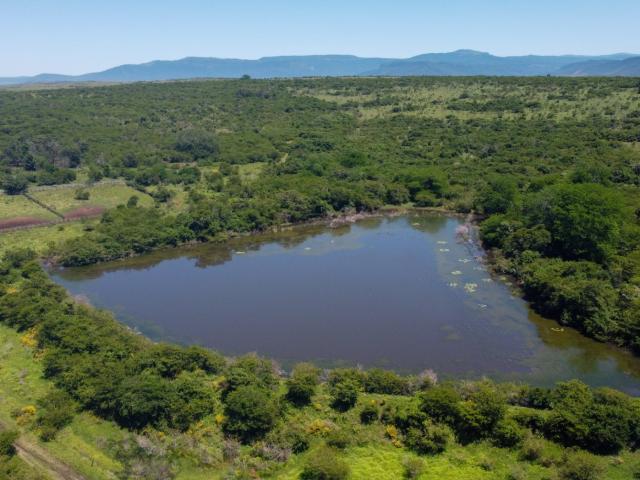Farm for sale in Amathole District Municipality, Eastern Cape
