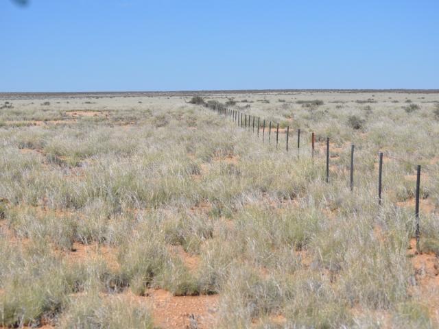 Farm for sale in Hantam, Northern Cape