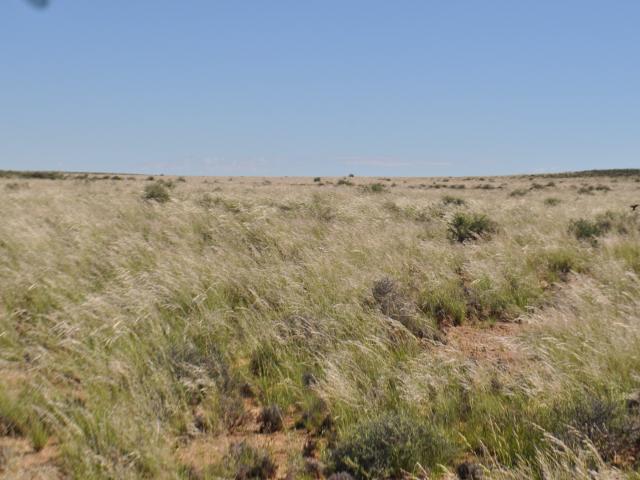 Farm for sale in Hantam, Northern Cape