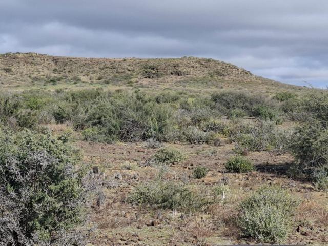 Farm for sale in Hantam, Northern Cape