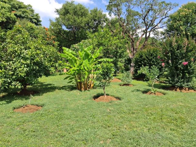 Farm for sale in Hartbeespoort Dam Nature Reserve, North West