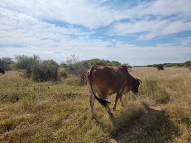Farm for sale in Hartbeespoort Dam Nature Reserve, North West