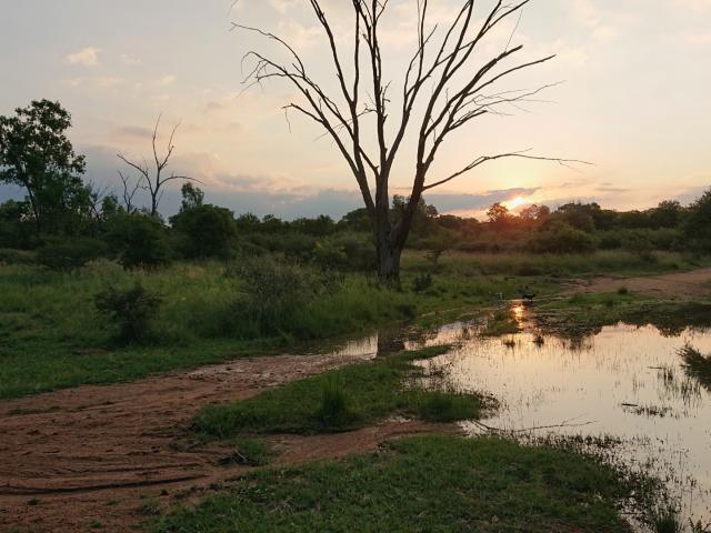 Farm for sale in Hartbeespoort Dam Nature Reserve, North West
