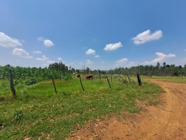 Farm for sale in Gauteng