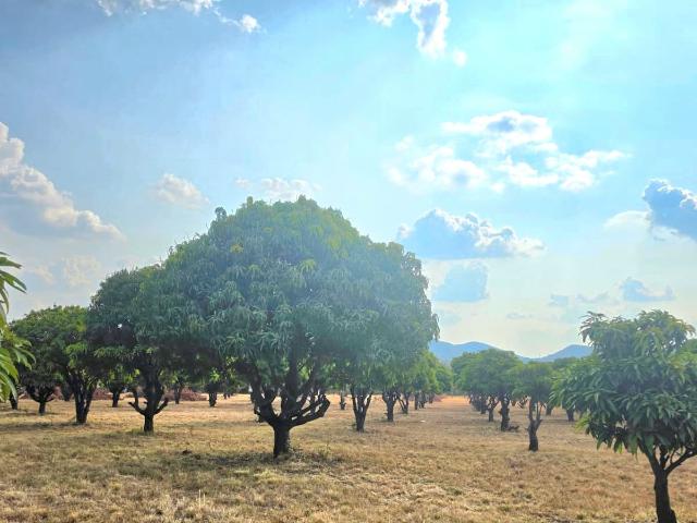 Farm for sale in Hartbeespoort Dam Nature Reserve, North West