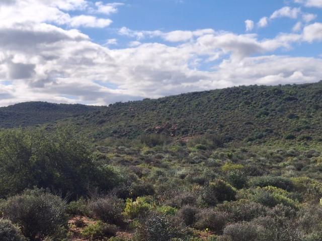 Farm for sale in Hantam, Northern Cape
