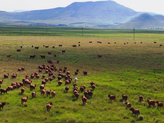 Farm for sale in Alfred Nzo District Municipality, Eastern Cape