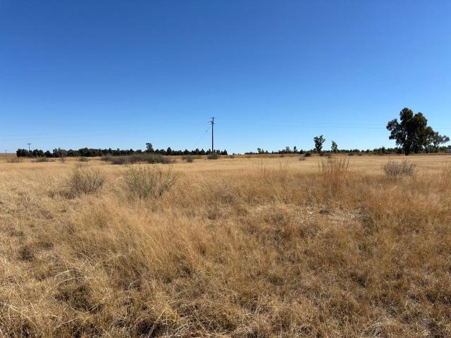 Farm for sale in Ditsobotla, North West