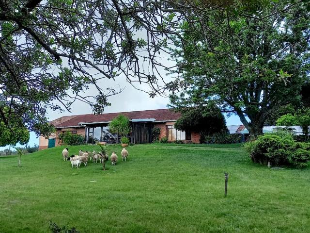 Farm for sale in Beachview, Eastern Cape