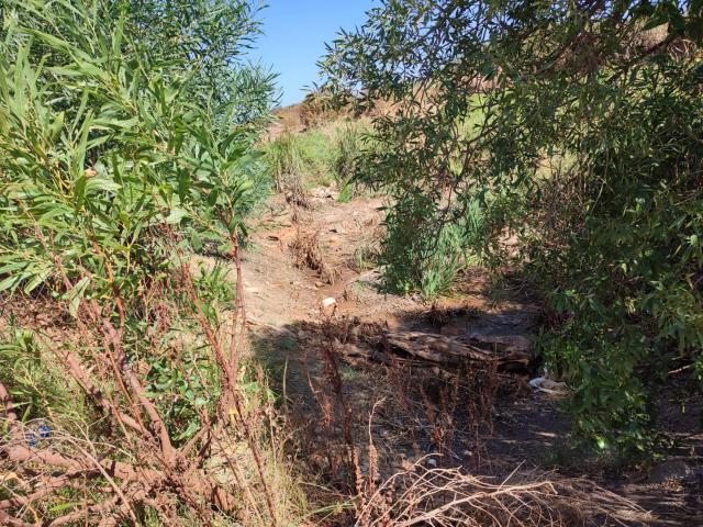 Farm for sale in West Coast, Riebeeck Valley