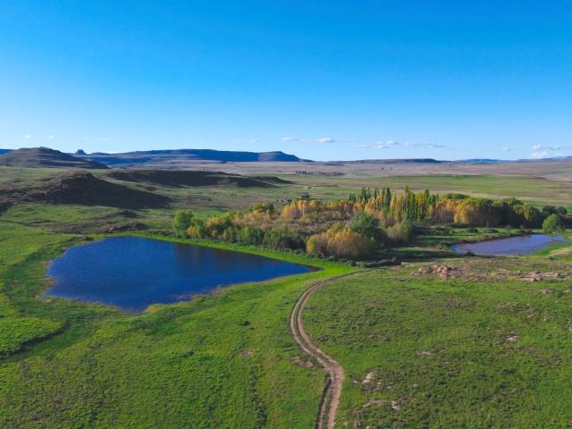 Farm for sale in Dordrecht, Eastern Cape