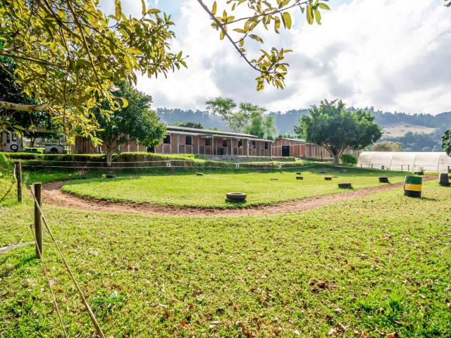 Farm for sale in Drummond, Kwazulu-natal