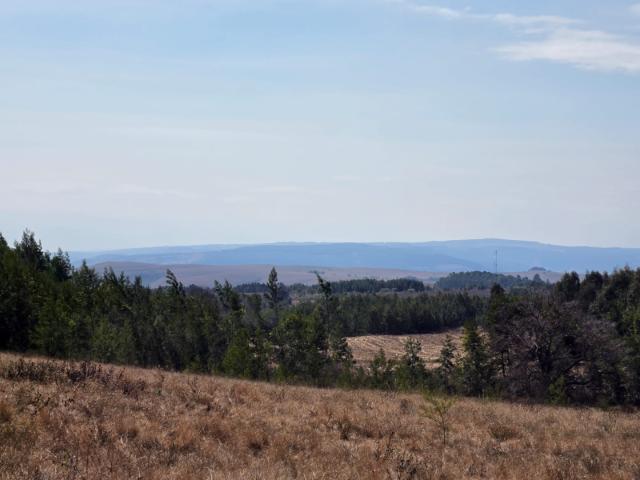 Farm for sale in Dullstroom, Mpumalanga
