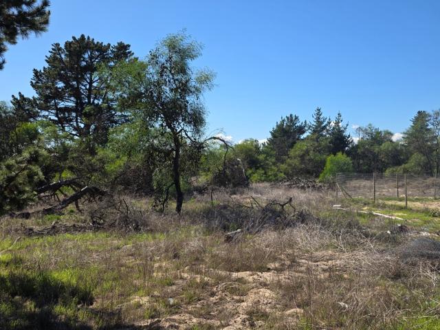 Farm for sale in Western Cape