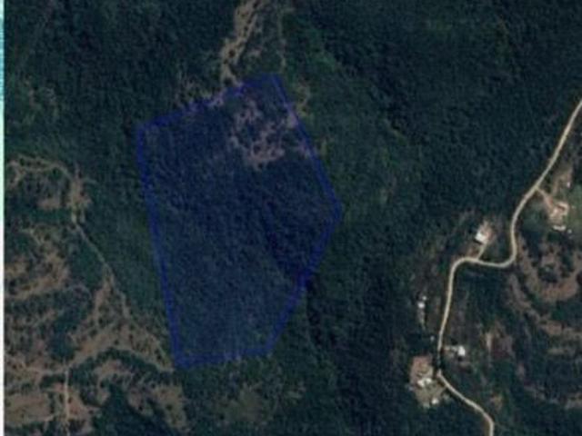 Farm for sale in Eastern Cape